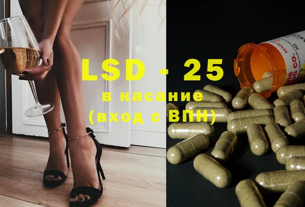 PSILOCYBIN Наволоки