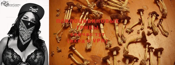 PSILOCYBIN Наволоки